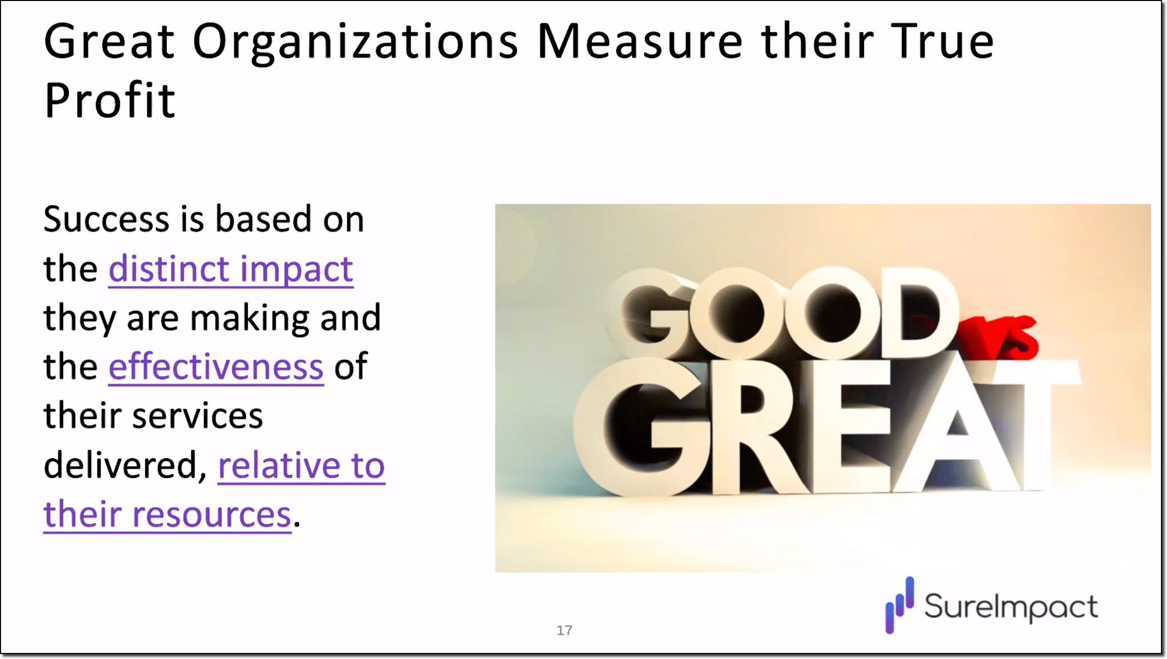 Presentation slide titled Great Organizations Measure their True Profit